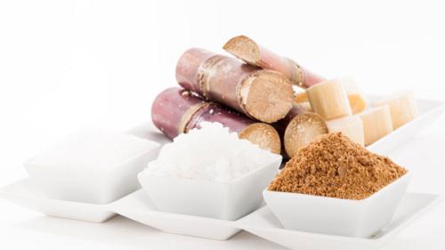 生產(chǎn)蔗糖的主要糖料作物是