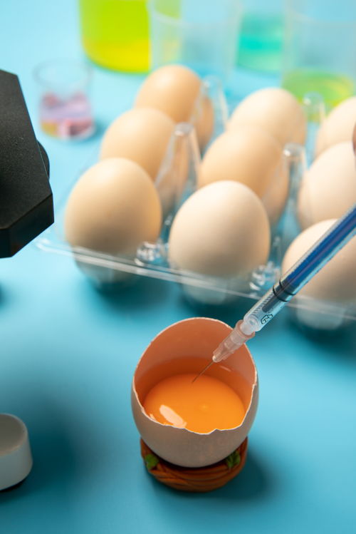 開殼雞蛋食品安全農(nóng)業(yè)科技食品培育攝影圖 插畫 下載至來源處