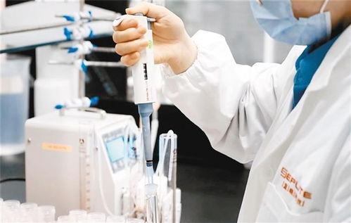 藍(lán)曉科技 小 顆粒如何成長(zhǎng)為 大 冠軍