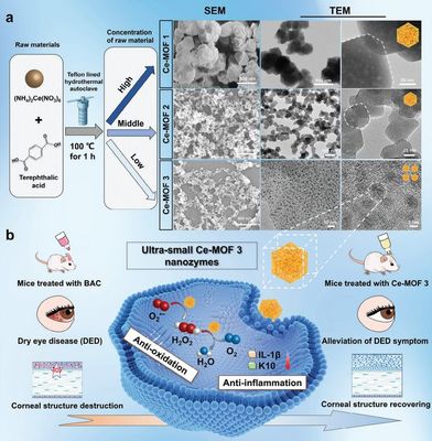 干眼治療新路徑!復(fù)旦團(tuán)隊(duì)研發(fā)納米酶"刷"掉過量眼表活性氧