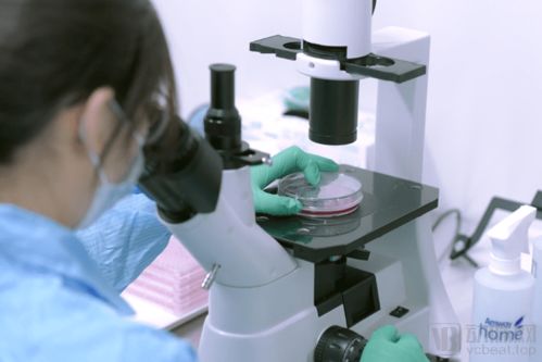 打造產(chǎn)業(yè)鏈 惠邦生物以獨(dú)創(chuàng)能力加碼IVD創(chuàng)新產(chǎn)品研發(fā)，持續(xù)發(fā)力原料市場(chǎng)與生物基材料技術(shù)研發(fā)