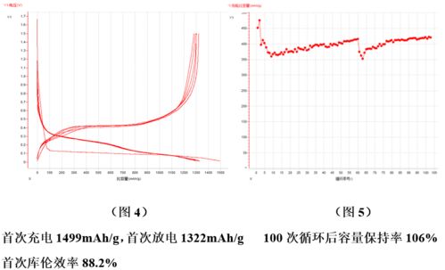 技術前沿│全球硅基負極材料專利數量已逾萬件，探尋生物硅負極材料的秘密