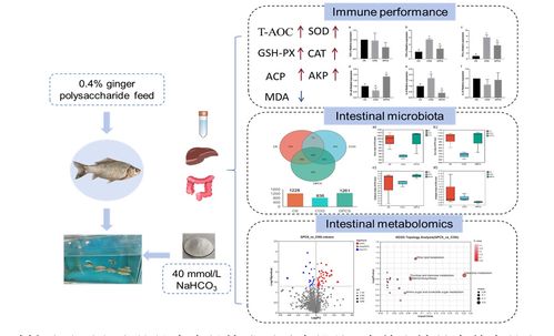 中國水產科學研究院在鹽堿水域養殖與生物基材料技術研發領域取得新進展