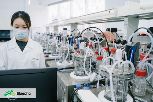 藍晶微生物獲15億元B輪系列融資，元生資本與混改基金領(lǐng)投，加速生物基材料研發(fā)